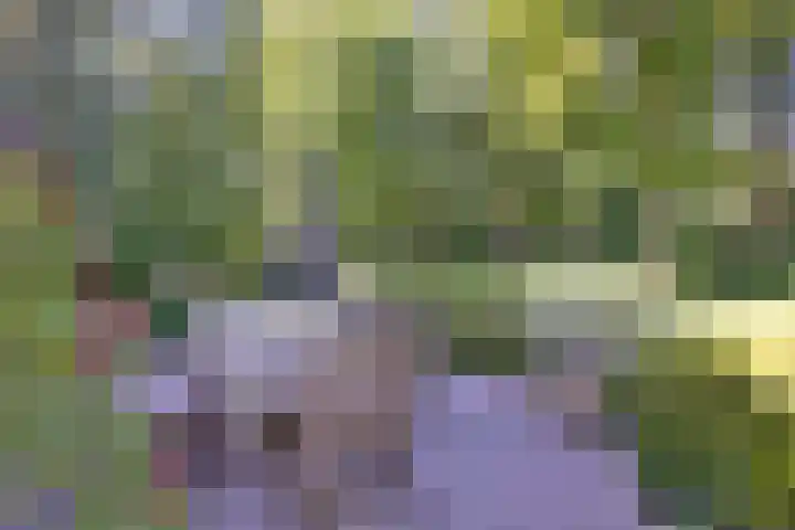 Bosweg 3 Epse thumbnail 40
