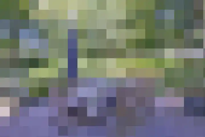 Bosweg 3 Epse thumbnail 41