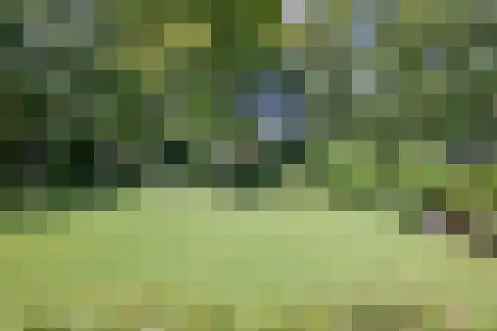 Bosweg 3 Epse thumbnail 42