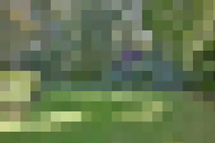 Bosweg 3 Epse thumbnail 44