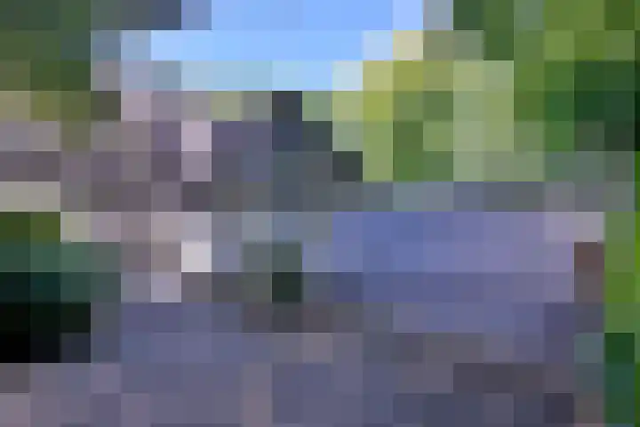 Bosweg 3 Epse thumbnail 45
