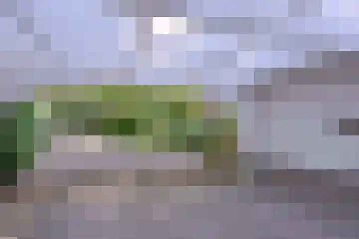 Bosweg 3 Epse thumbnail 46