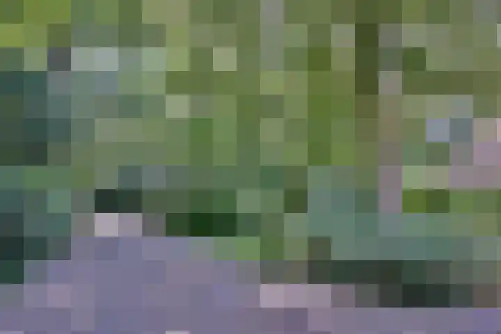 Bosweg 3 Epse thumbnail 47