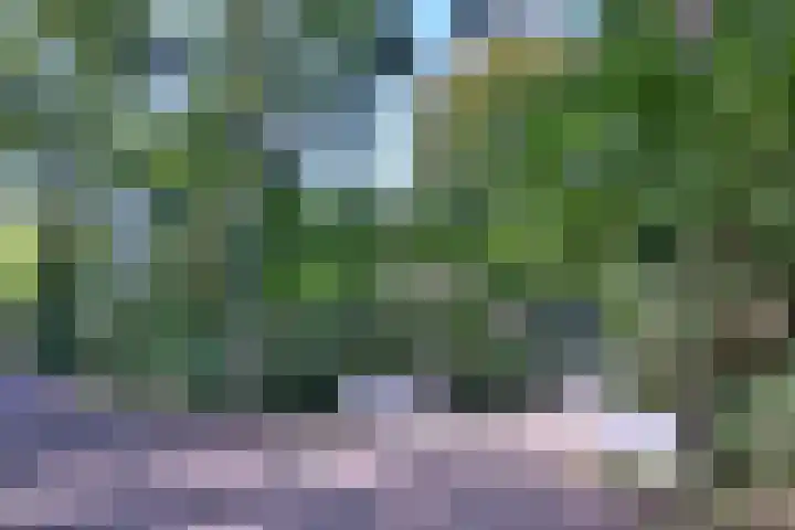 Bosweg 3 Epse thumbnail 48