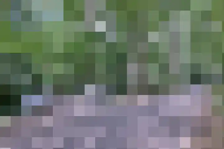 Bosweg 3 Epse thumbnail 49
