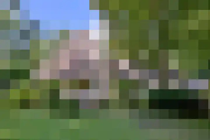 Bosweg 3 Epse thumbnail 5