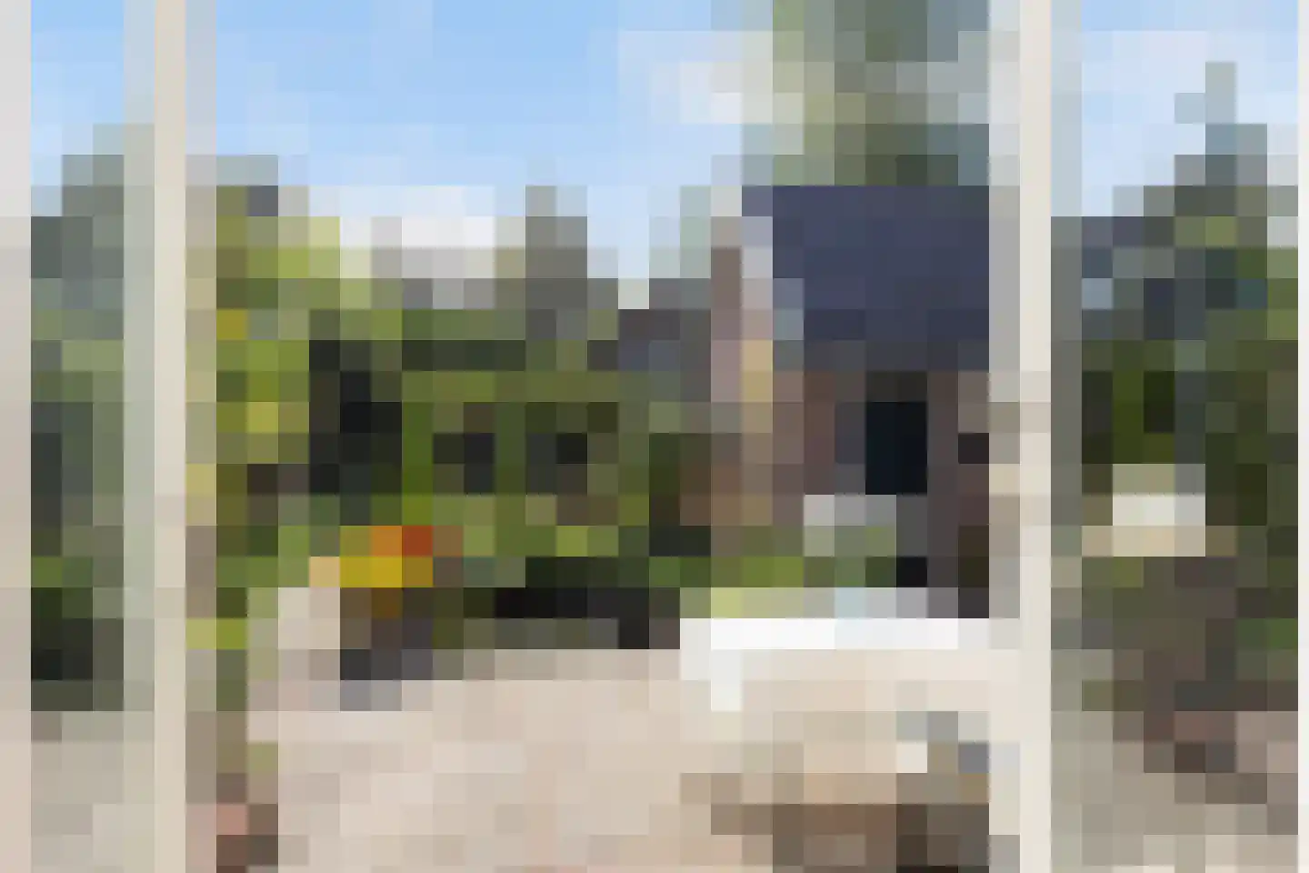 Bosweg 31 Apeldoorn thumbnail 14