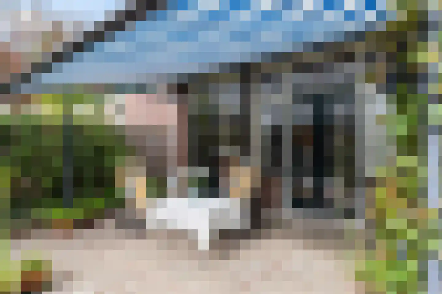 Bosweg 31 Apeldoorn thumbnail 15