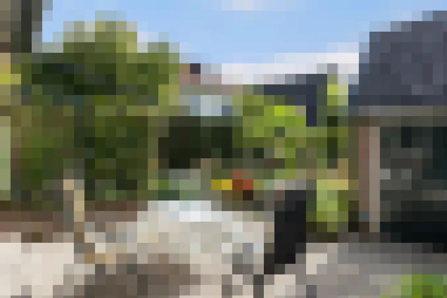 Bosweg 31 Apeldoorn thumbnail 16