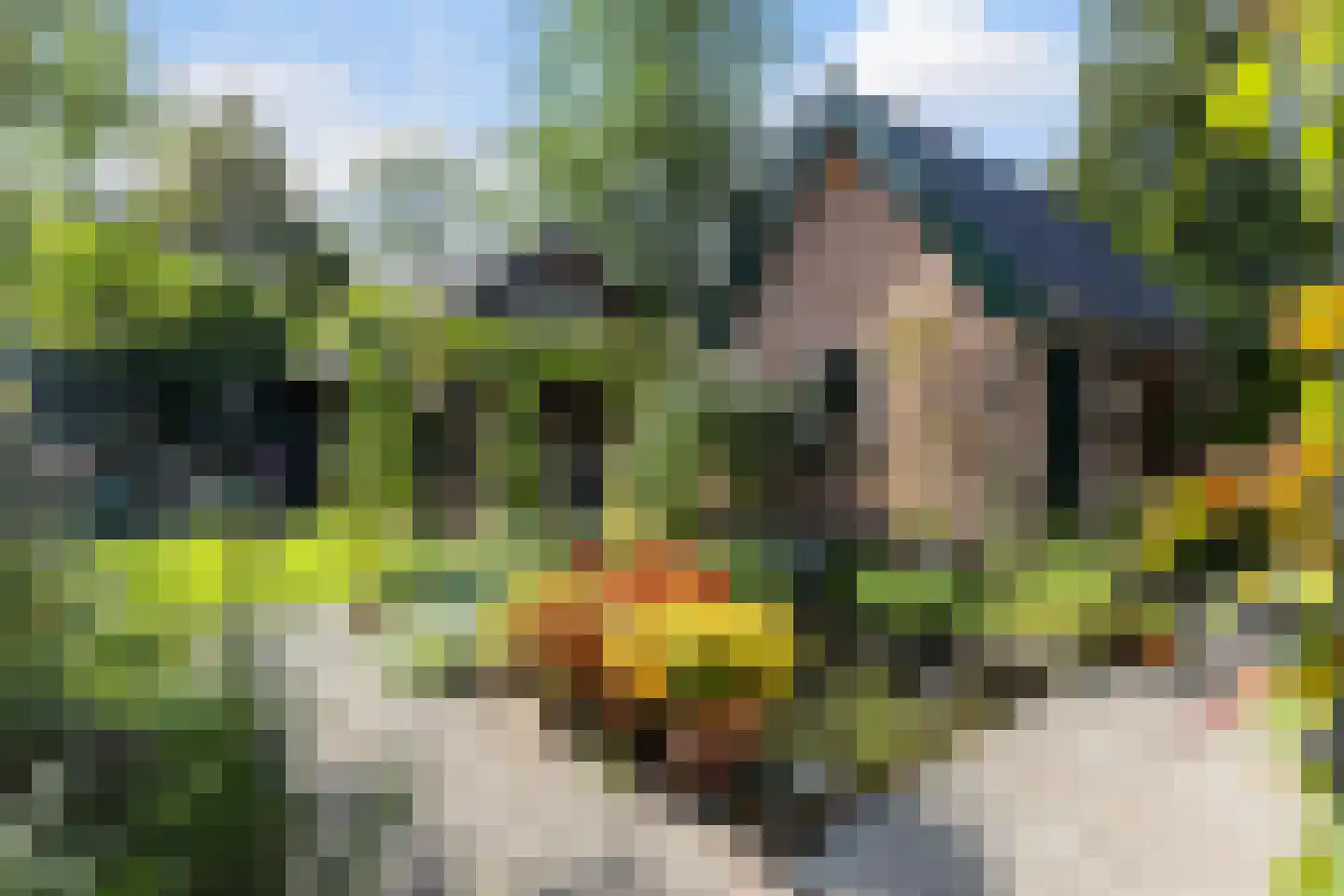 Bosweg 31 Apeldoorn thumbnail 18