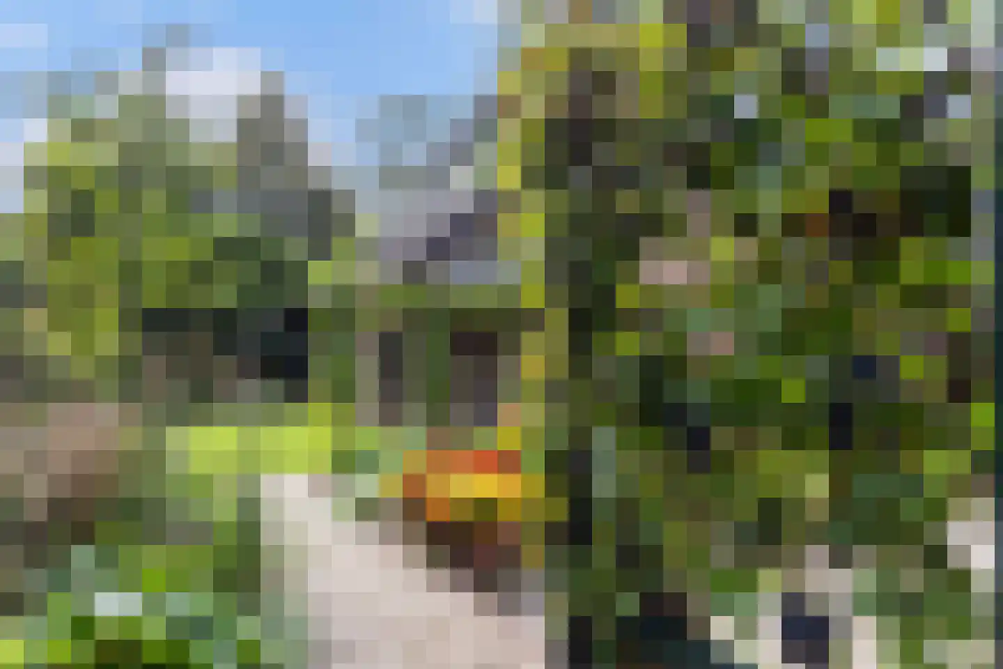 Bosweg 31 Apeldoorn thumbnail 21