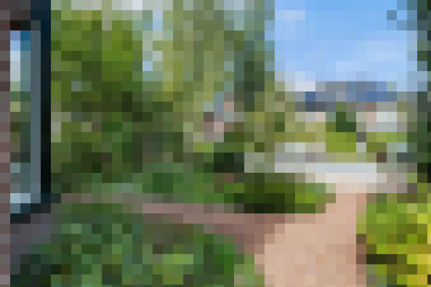 Bosweg 31 Apeldoorn thumbnail 24