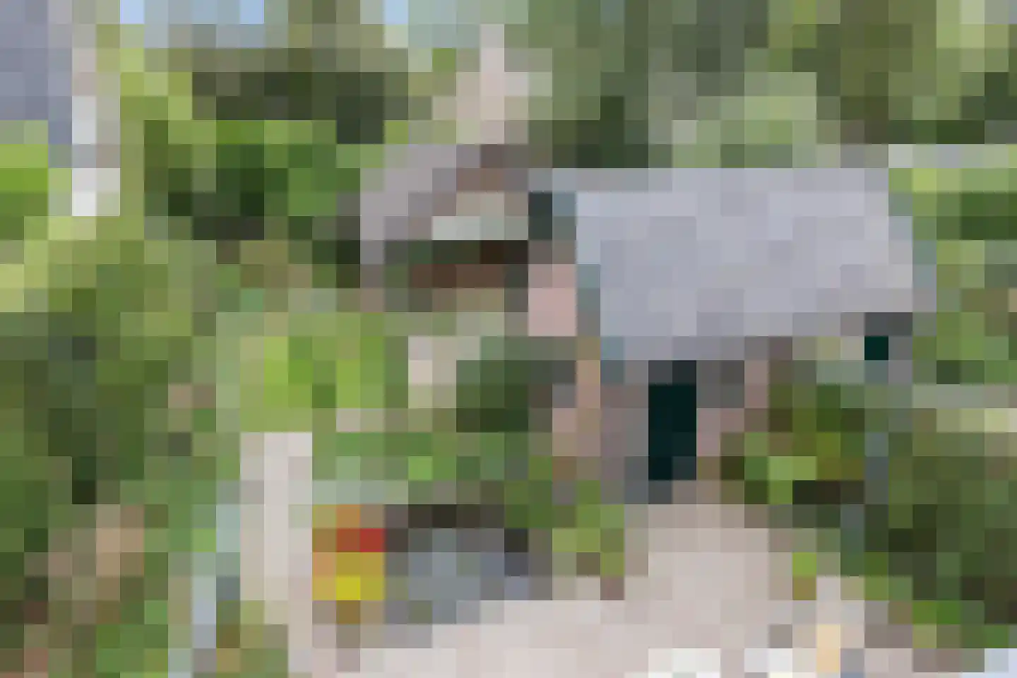 Bosweg 31 Apeldoorn thumbnail 32