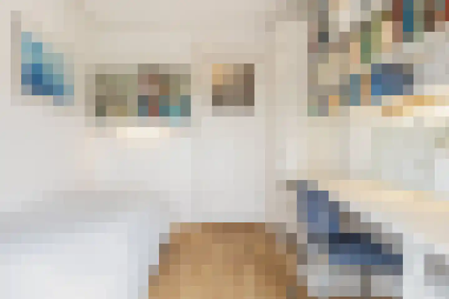 Bosweg 31 Apeldoorn thumbnail 34