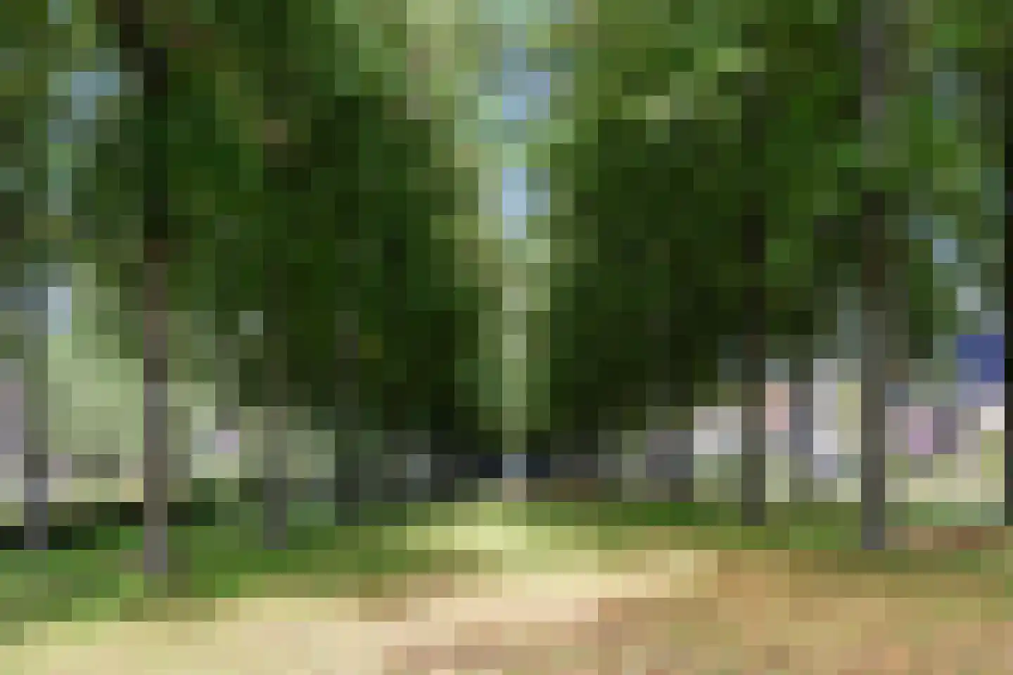Bosweg 31 Apeldoorn thumbnail 47