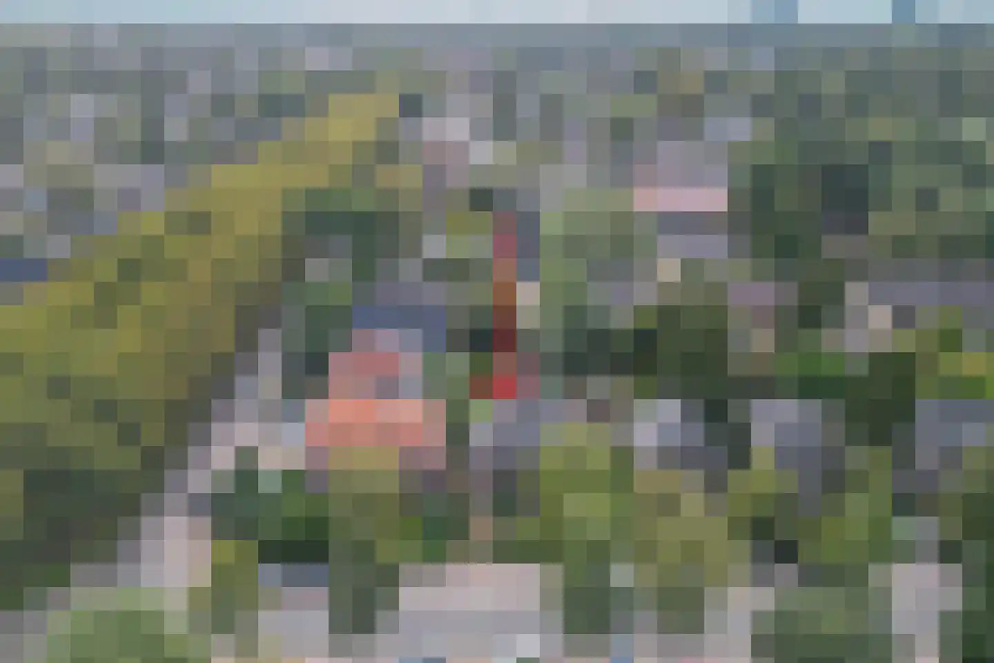 Bosweg 31 Apeldoorn thumbnail 48