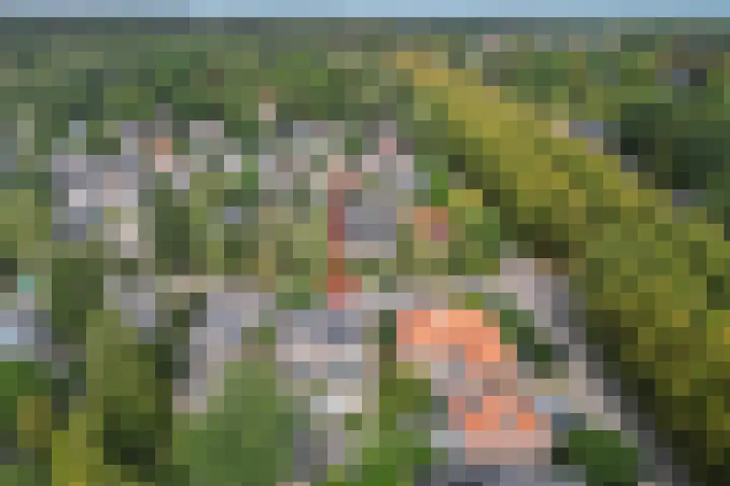 Bosweg 31 Apeldoorn thumbnail 49