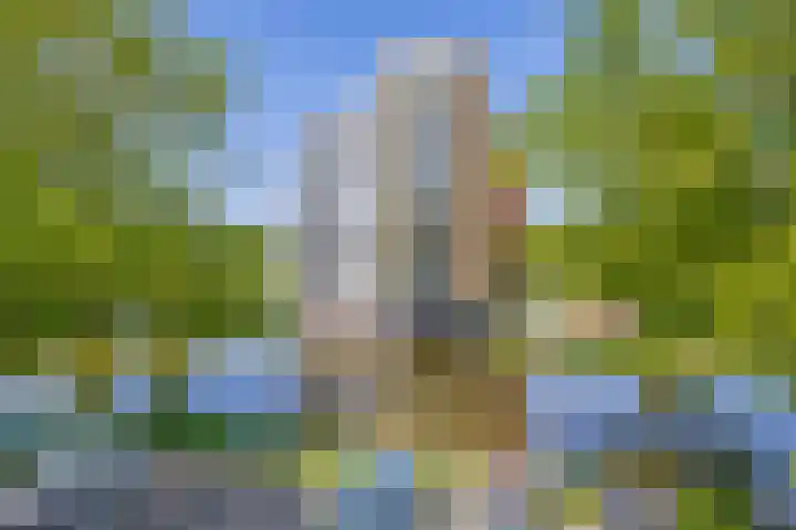 Bosweg 34 Sint Anthonis thumbnail 13