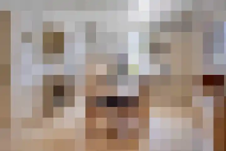 Bosweg 34 Sint Anthonis thumbnail 13