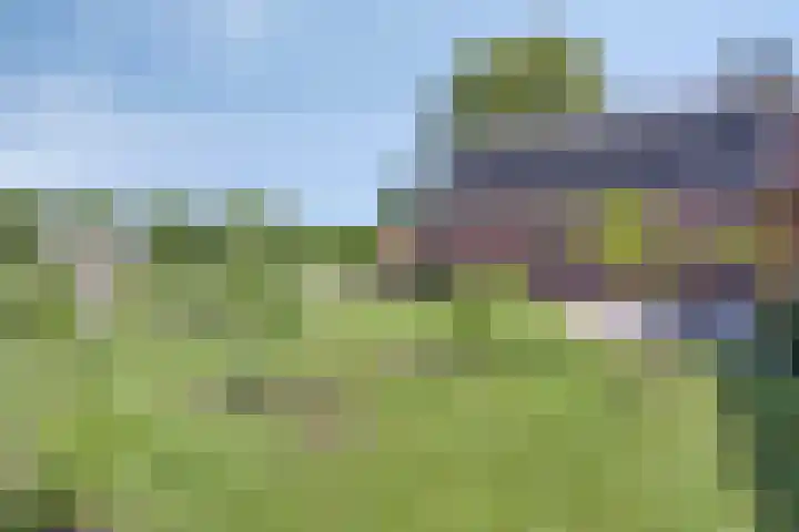 Bosweg 34 Sint Anthonis thumbnail 46