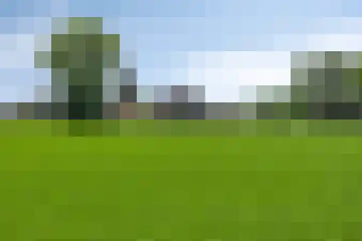 Bosweg 34 Sint Anthonis thumbnail 5