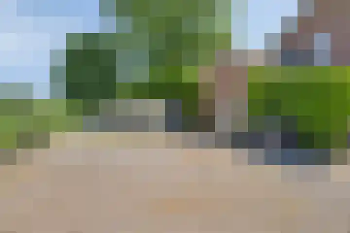 Bosweg 34 Sint Anthonis thumbnail 50