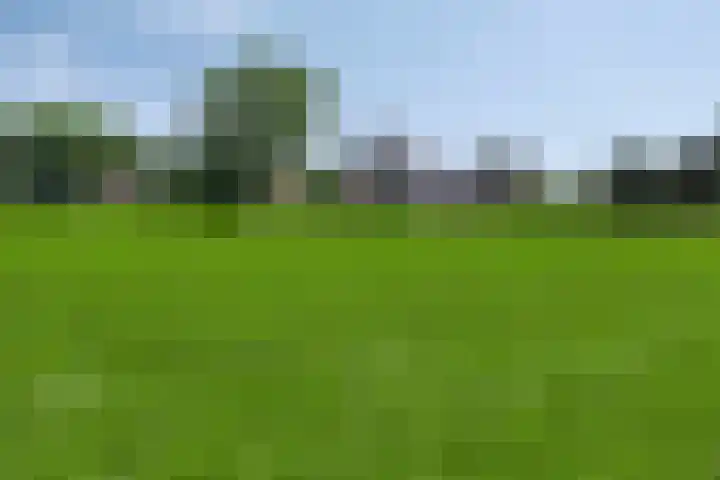 Bosweg 34 Sint Anthonis thumbnail 61