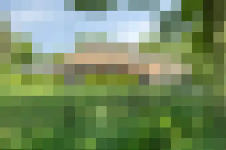 Bosweg 34 Sint Anthonis thumbnail 67