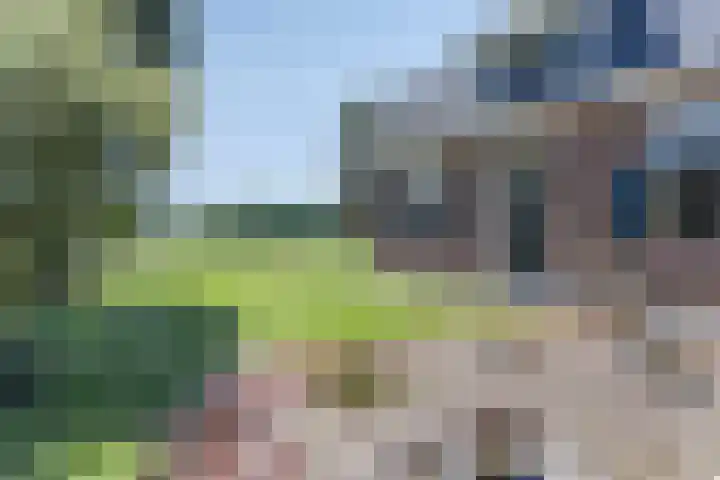 Bosweg 34 Sint Anthonis thumbnail 7