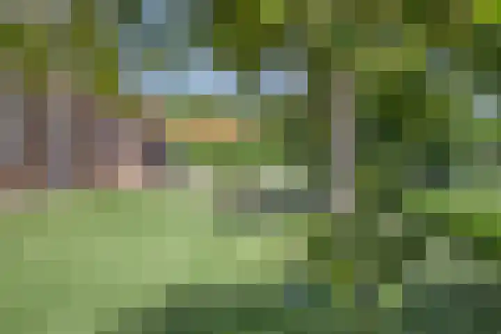 Bosweg 34 Sint Anthonis thumbnail 9