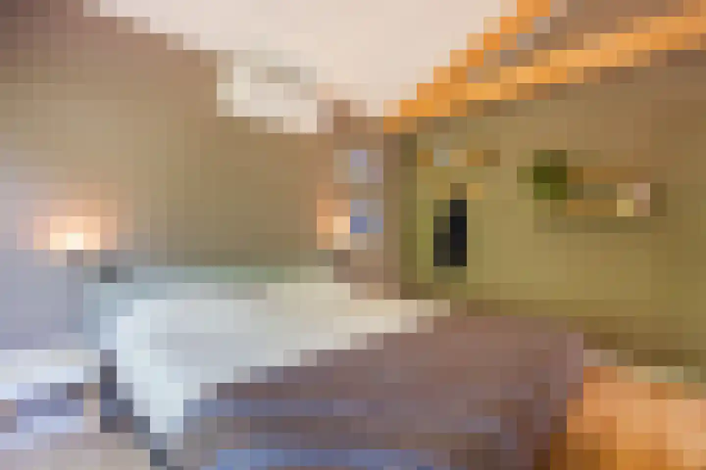 Bosweg 35 Bennekom thumbnail 27