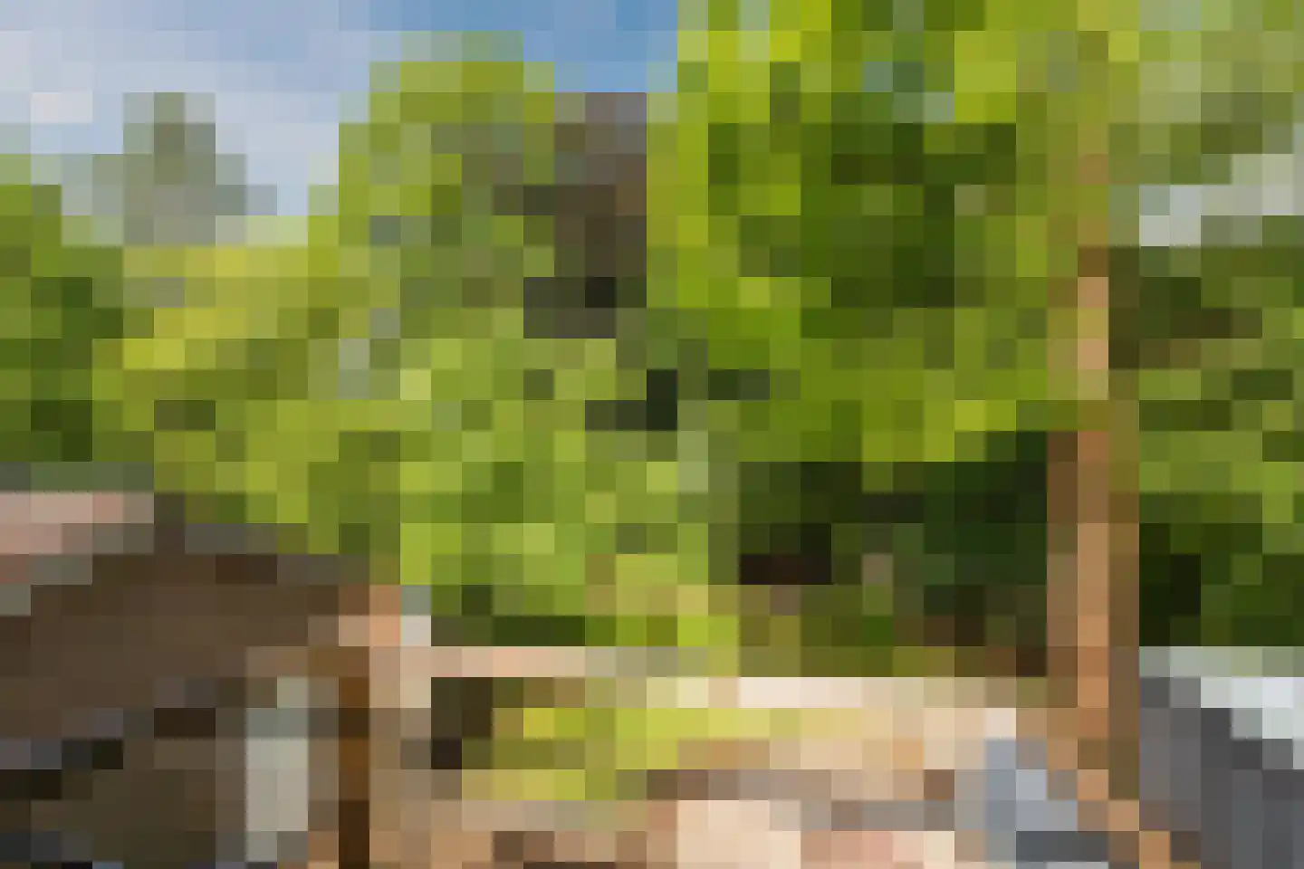 Bosweg 35 Bennekom thumbnail 37
