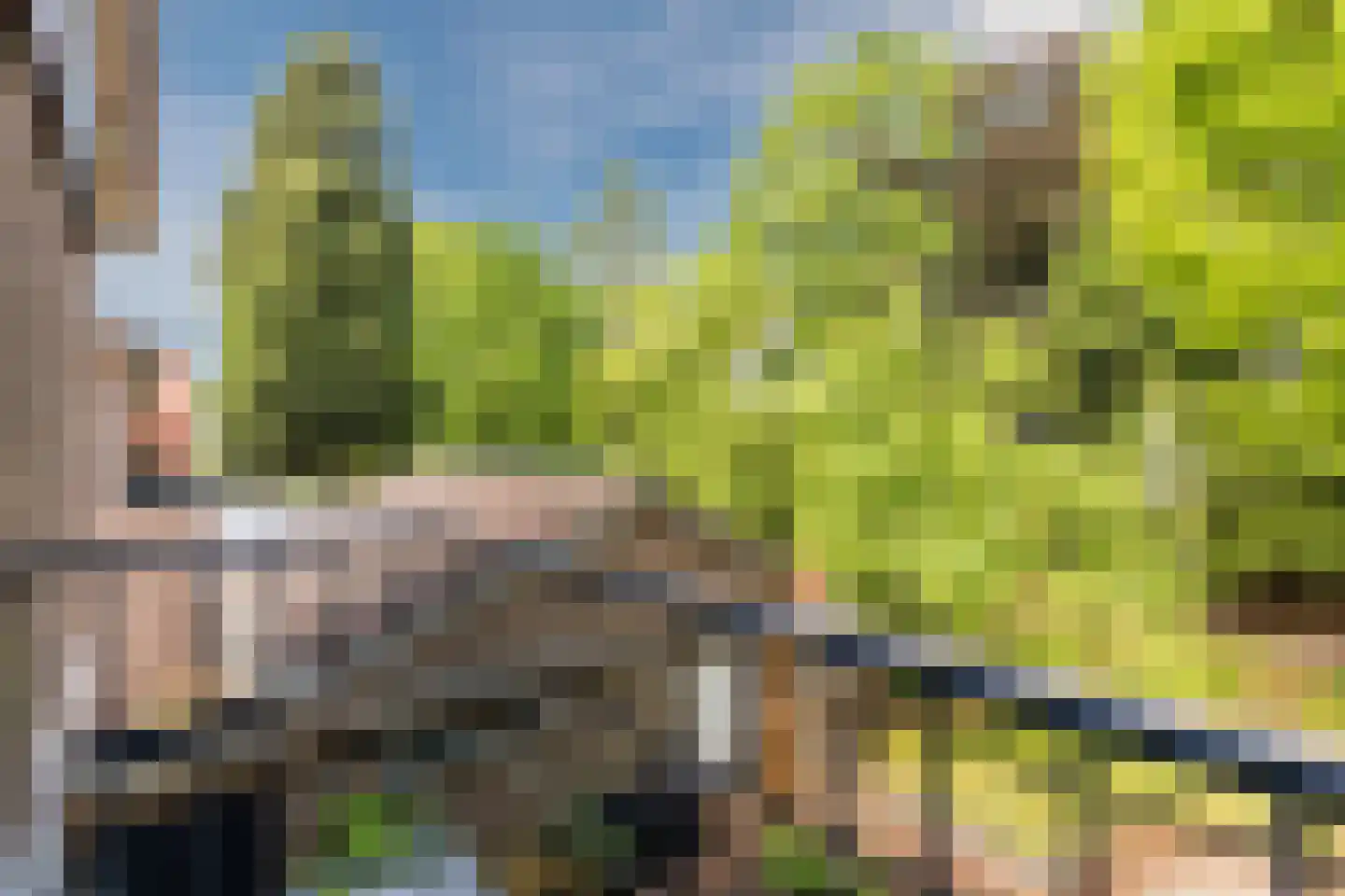 Bosweg 35 Bennekom thumbnail 38