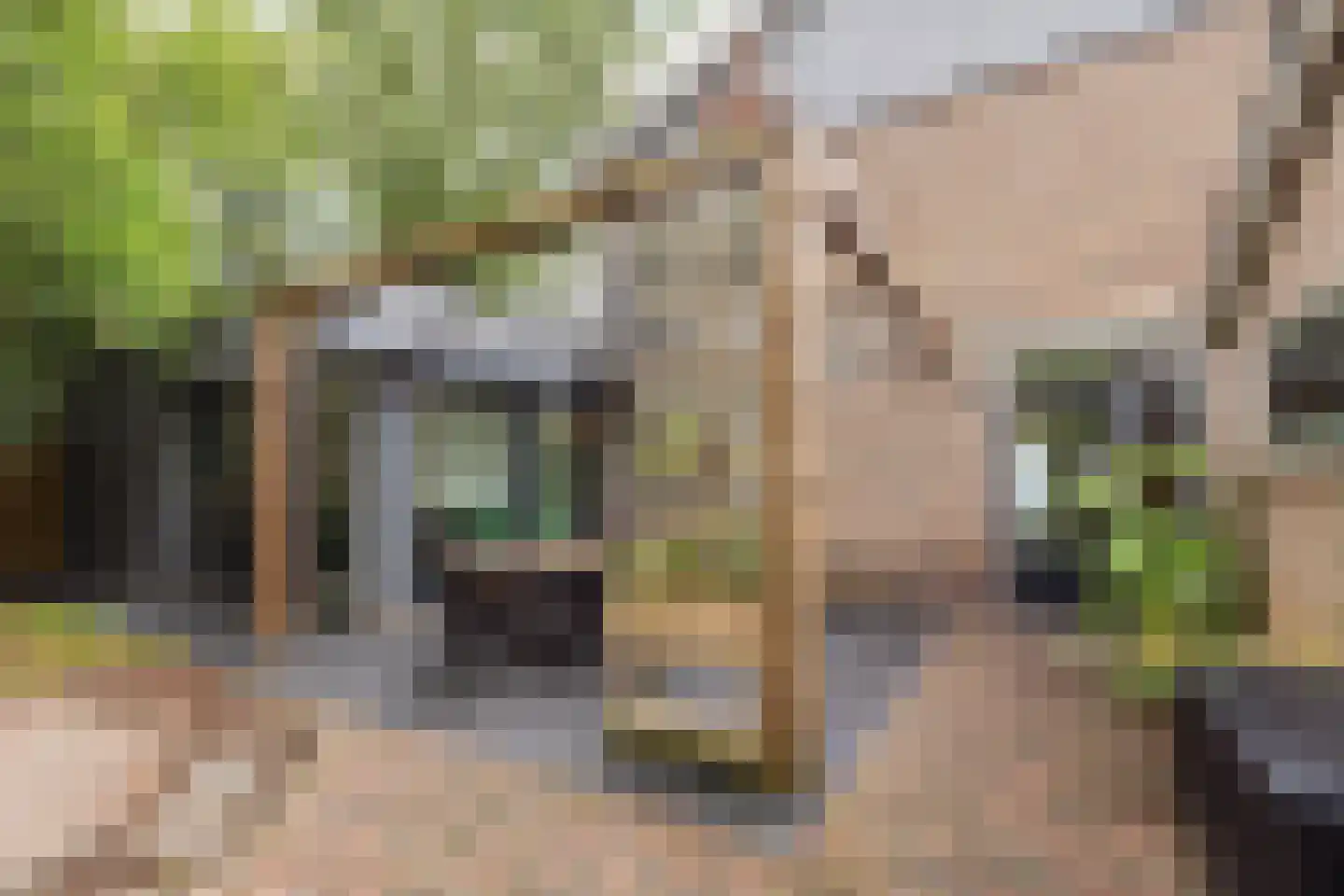 Bosweg 35 Bennekom thumbnail 41