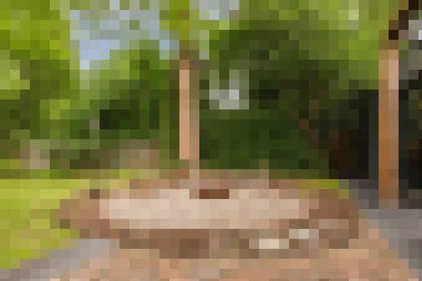 Bosweg 35 Bennekom thumbnail 42