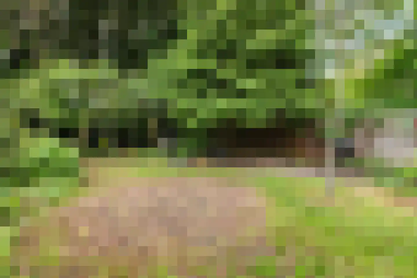 Bosweg 35 Bennekom thumbnail 45