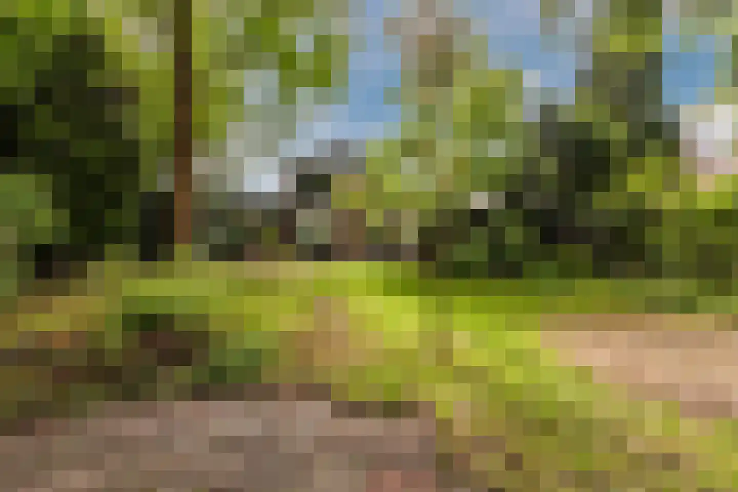 Bosweg 35 Bennekom thumbnail 46