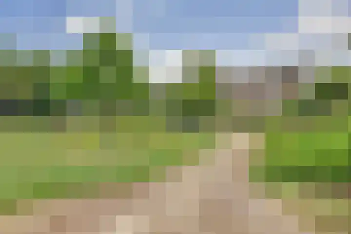 Bosweg 37 C Amersfoort thumbnail 34