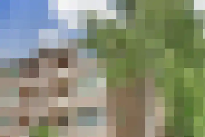 Bosweg 37 C Amersfoort thumbnail 6