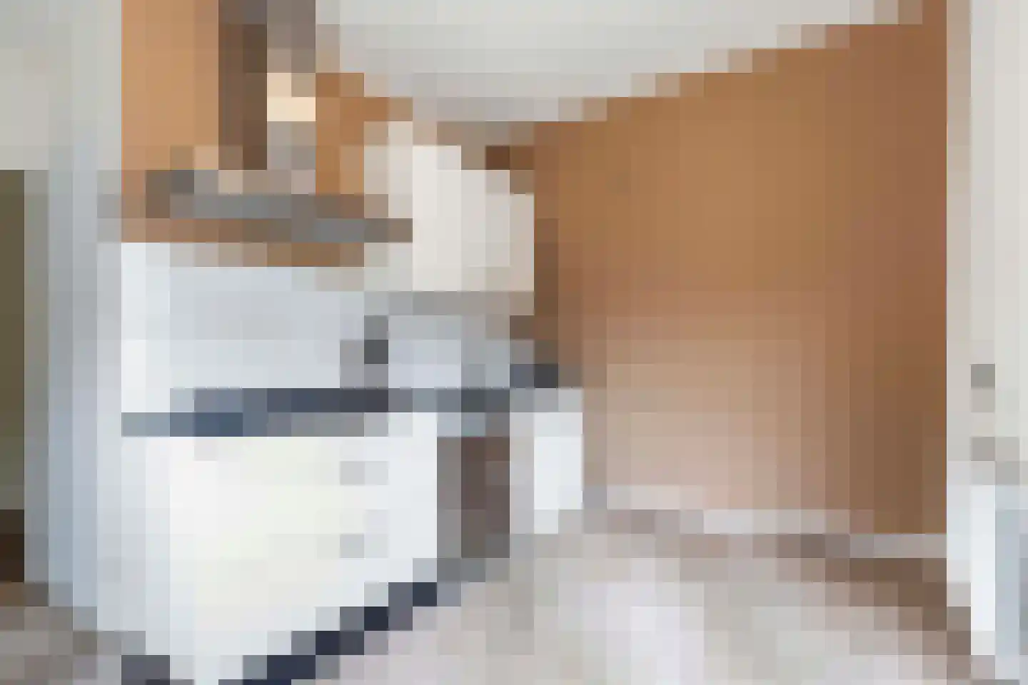 Bosweg 4 Apeldoorn thumbnail 14