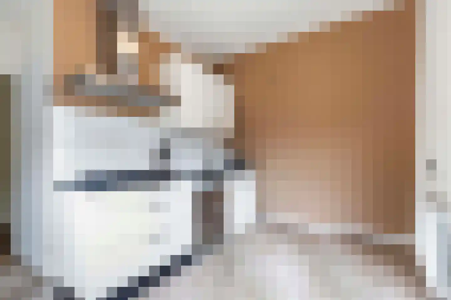 Bosweg 4 Apeldoorn thumbnail 15