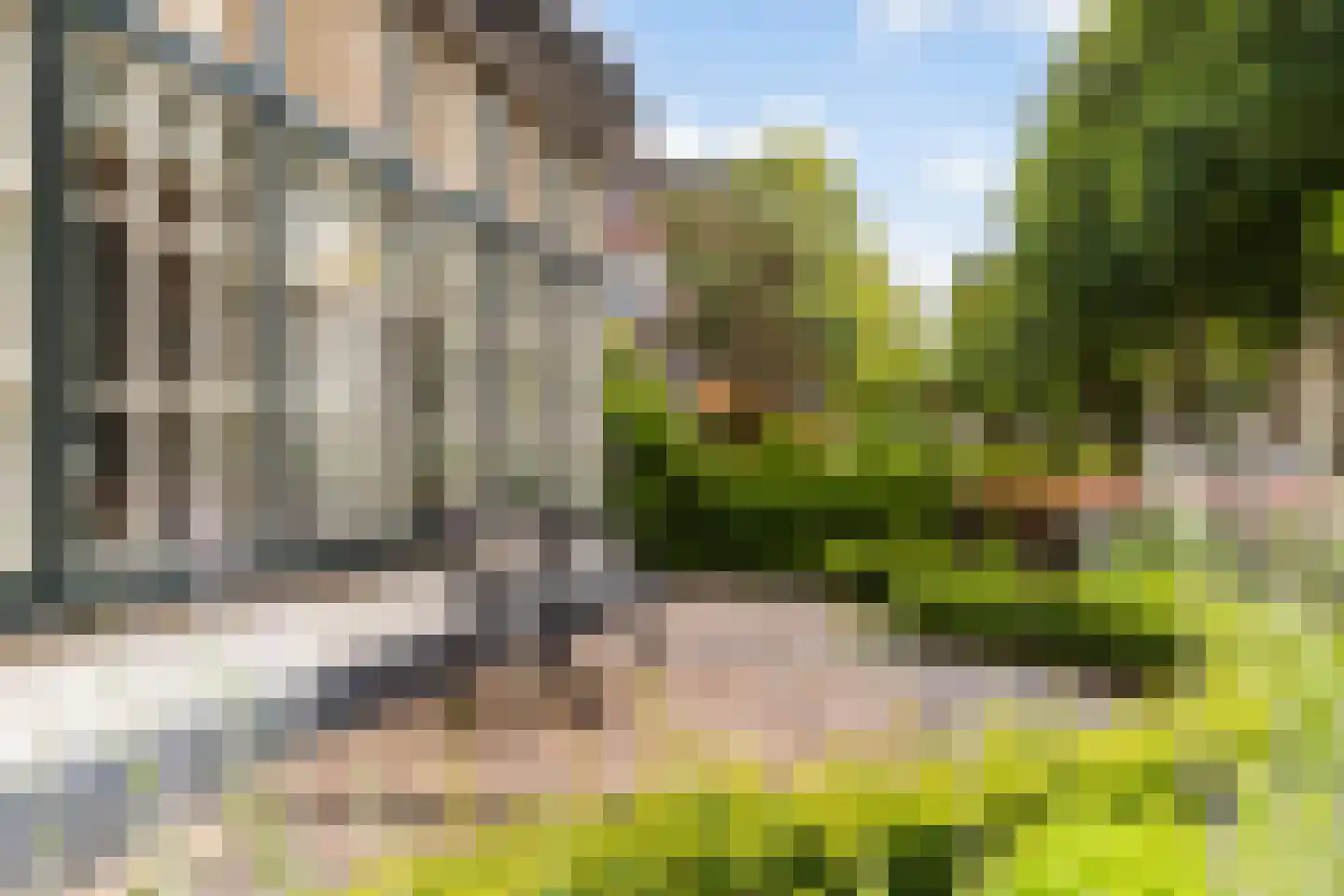 Bosweg 4 Apeldoorn thumbnail 4