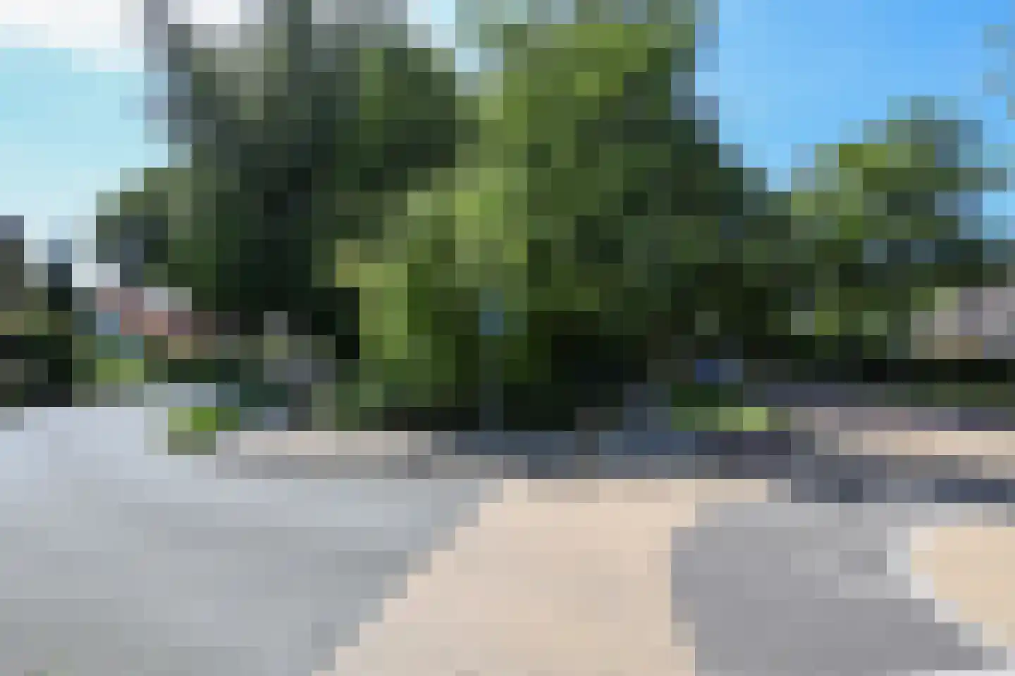 Bosweg 4 Oostvoorne thumbnail 13
