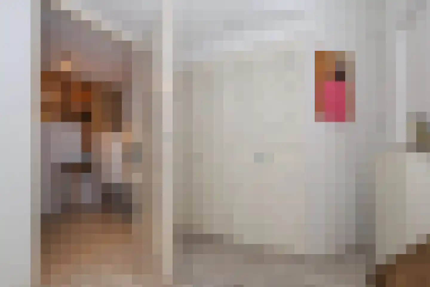 Bosweg 4 Oostvoorne thumbnail 30