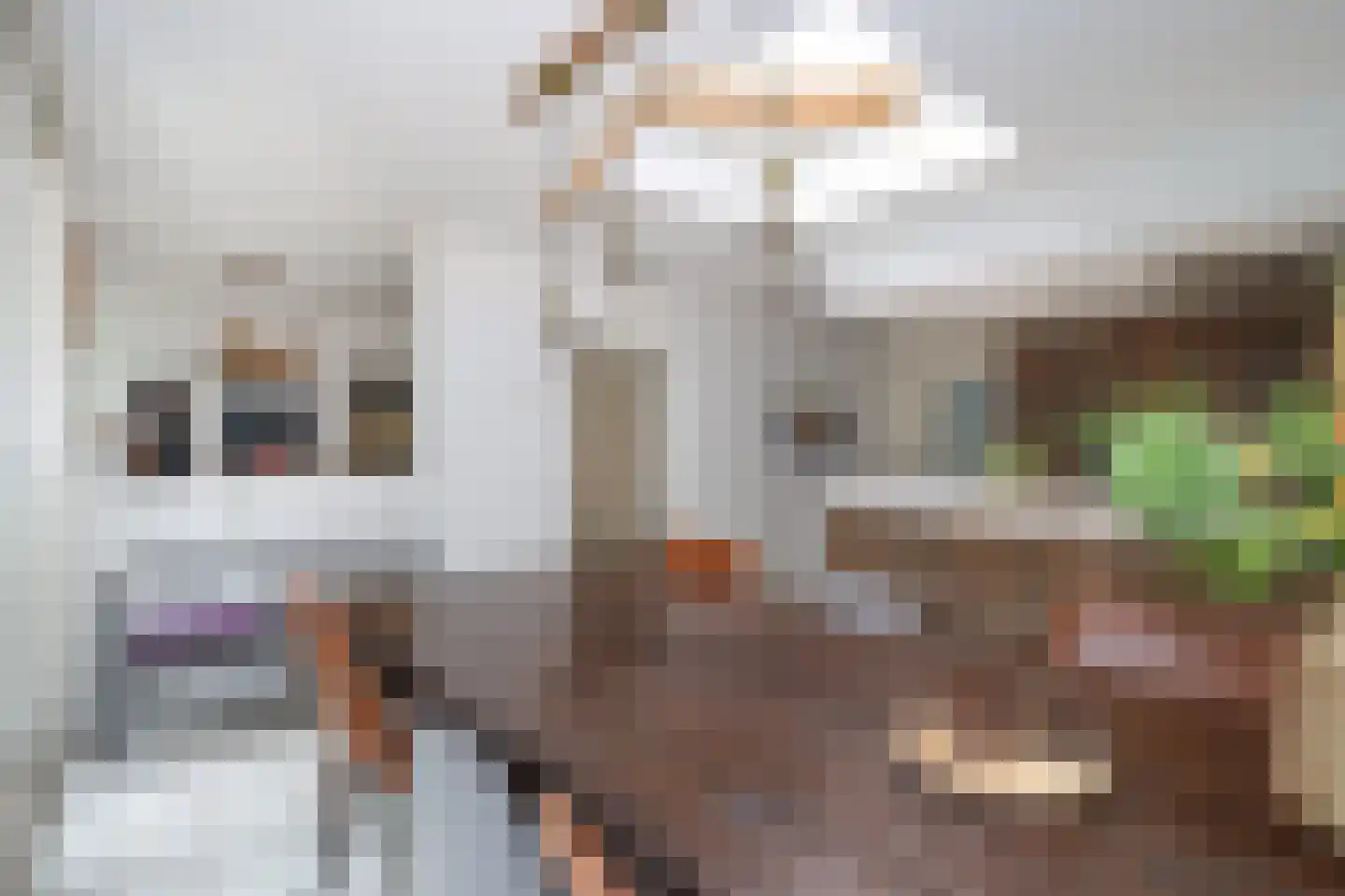 Bosweg 4 Oostvoorne thumbnail 36