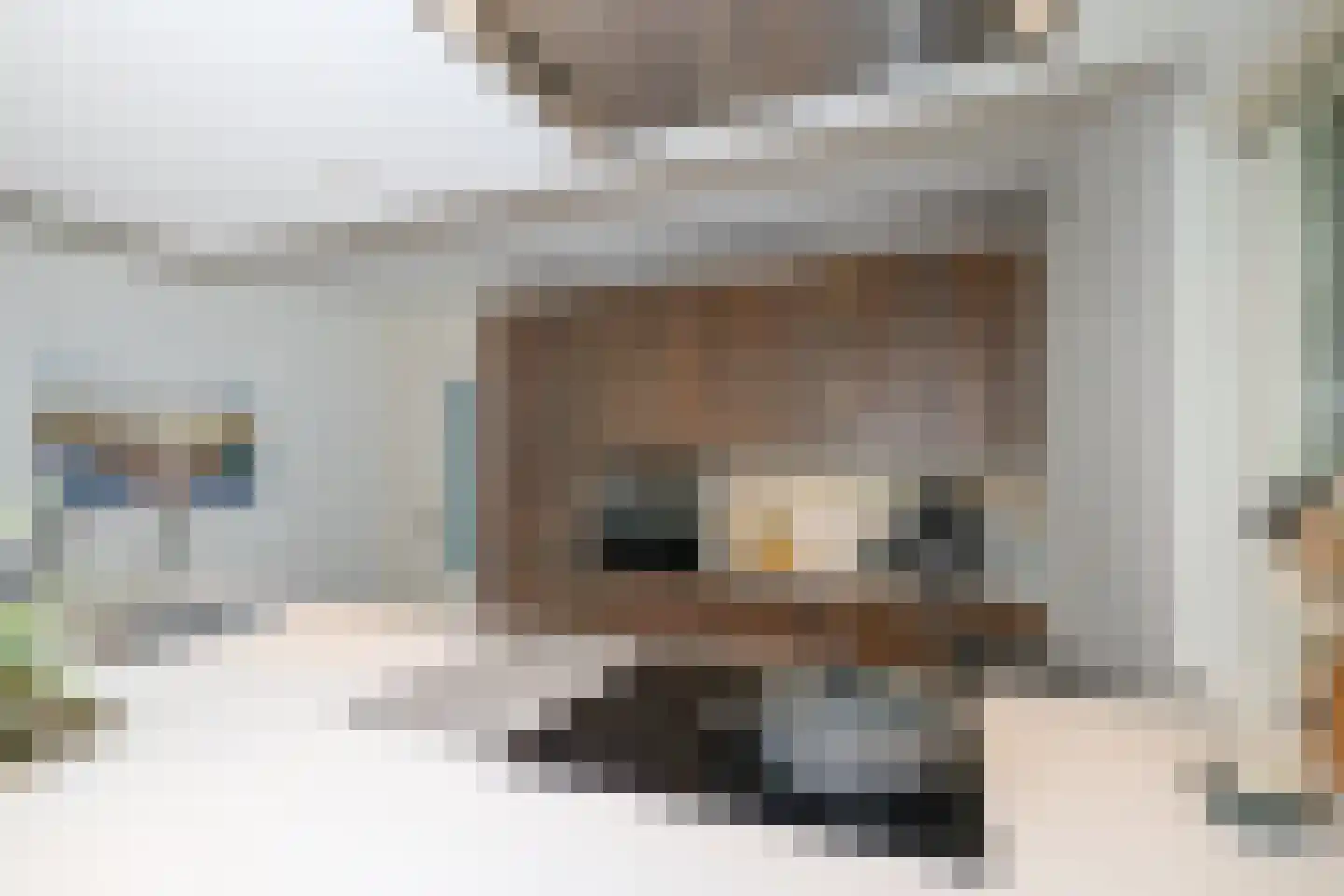 Bosweg 4 Oostvoorne thumbnail 39