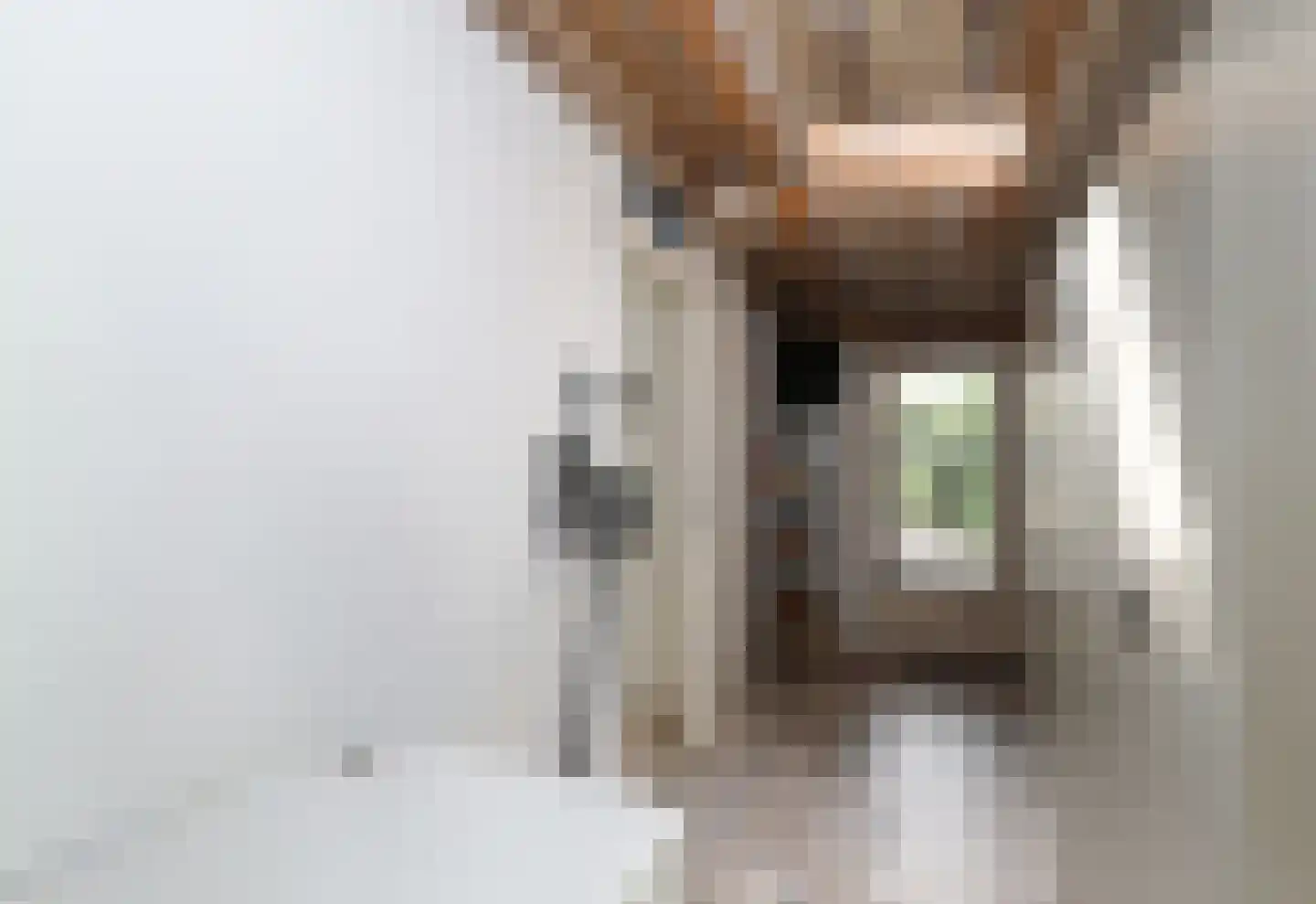 Bosweg 4 Oostvoorne thumbnail 43