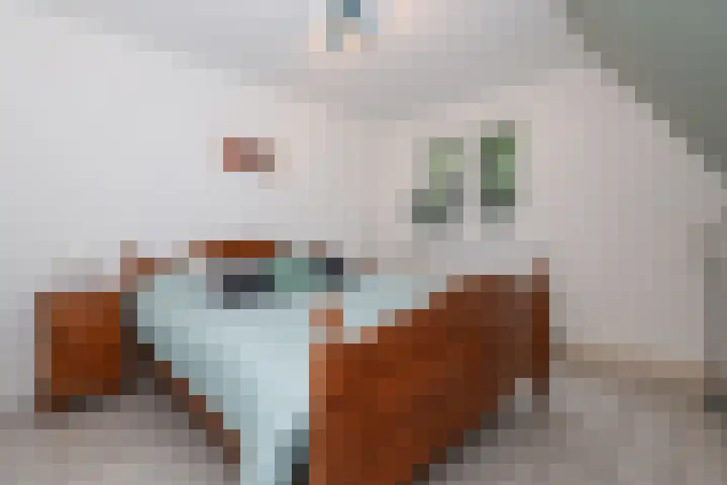Bosweg 4 Oostvoorne thumbnail 51