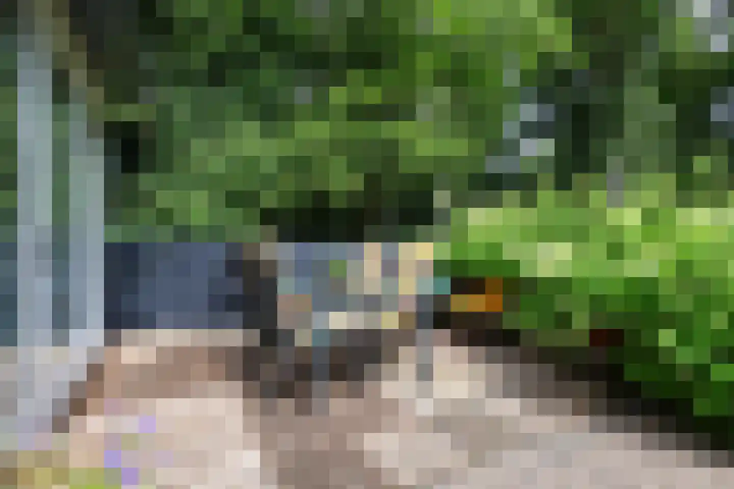 Bosweg 4 Oostvoorne thumbnail 60