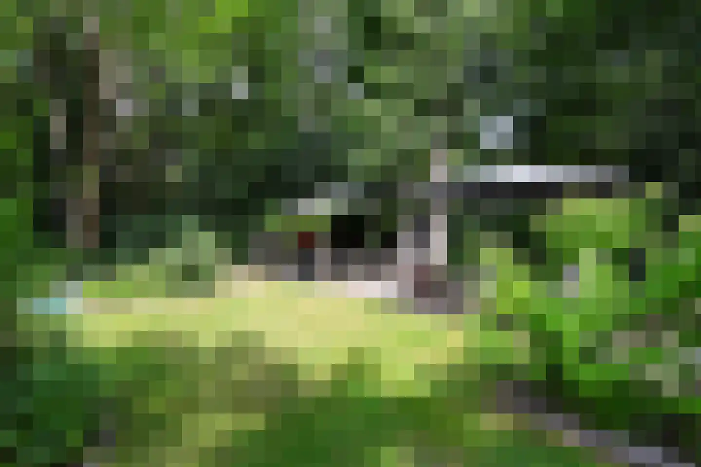 Bosweg 4 Oostvoorne thumbnail 61